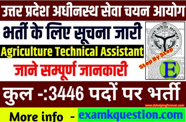 upsssc technical assistant recruitment 2024