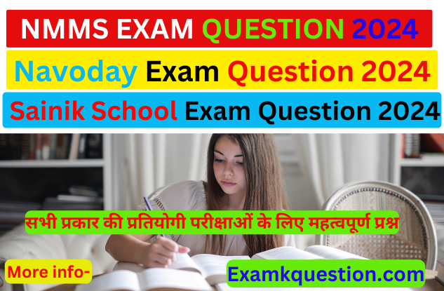 Nmms question paper 2024